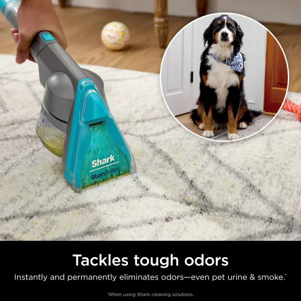 Shark CarpetXpert HairPro with StainStriker Carpet & Upholstery Cleaner - EX305CCO