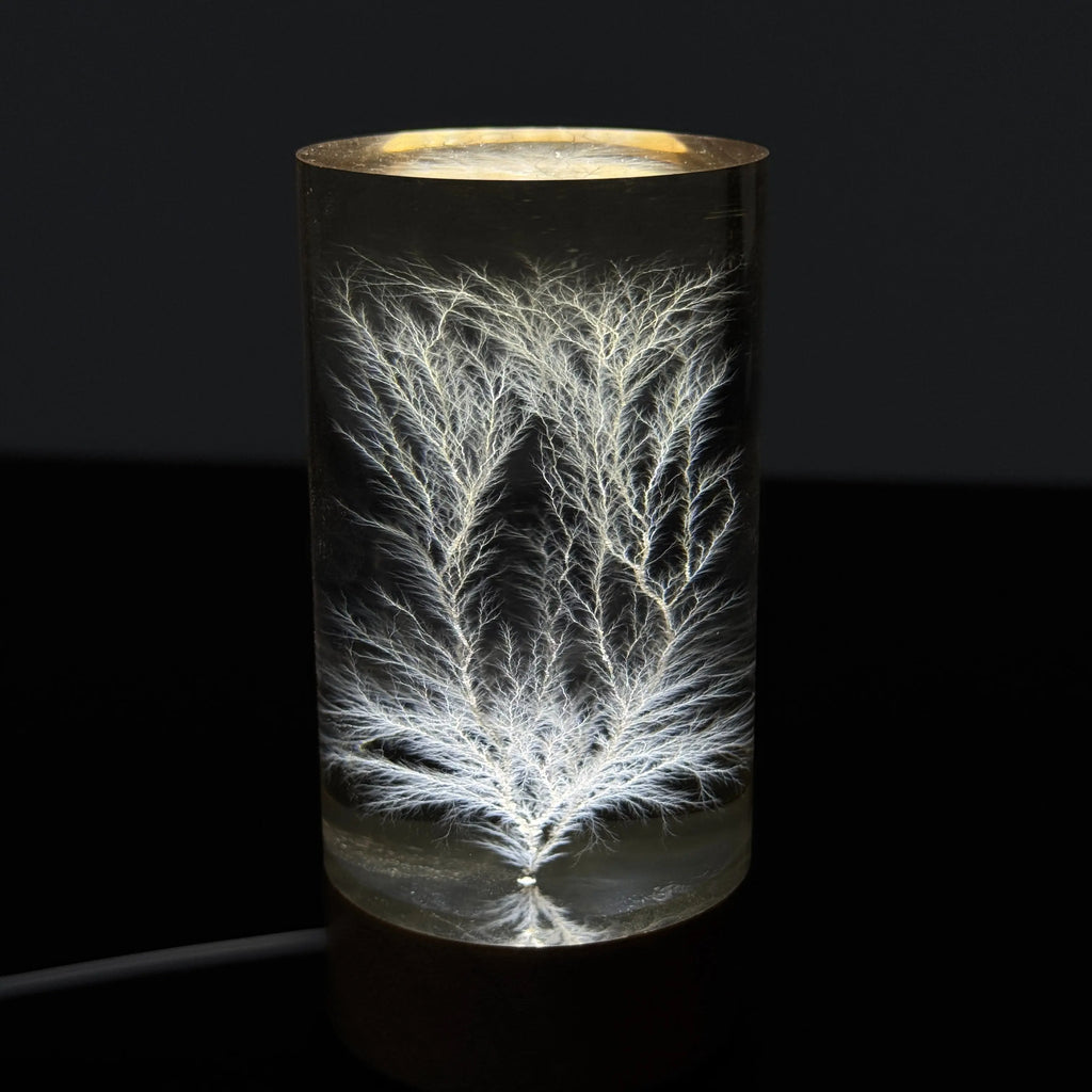 Captured Lightning in a Bottle - 10MeV High-Energy Physics Art Sculpture - One-of-a-Kind 3D Lichtenberg Figure - Authentic Frozen Electrical Discharge - Unique Science Gift for Geeks Decor Industrial