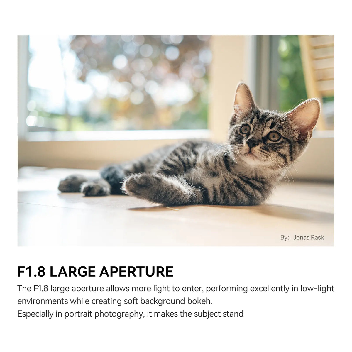 TTARTISAN AF 35mm F1.8 II Compact APS-C Prime Fixed Standard Auto Focus Camera Lens - 1.8f/, 176g, Improved Minimum Focusing Distance, Everyday Shooting for Sony E, Fuji X Mount Portrait Photographers