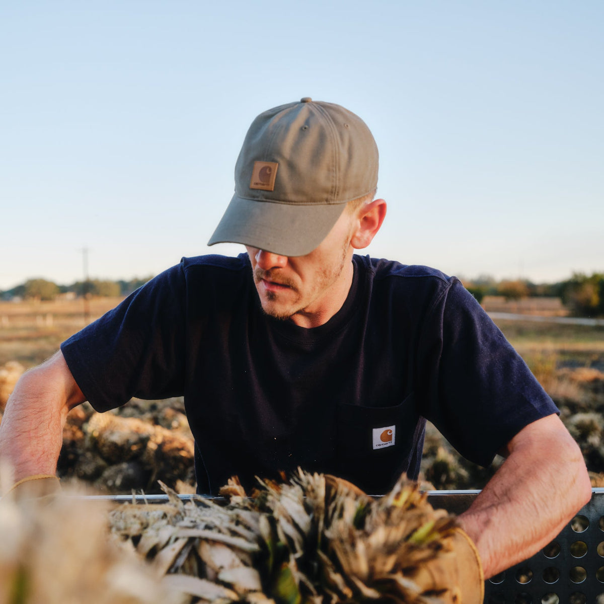 CARHARTT Canvas Dad Cap