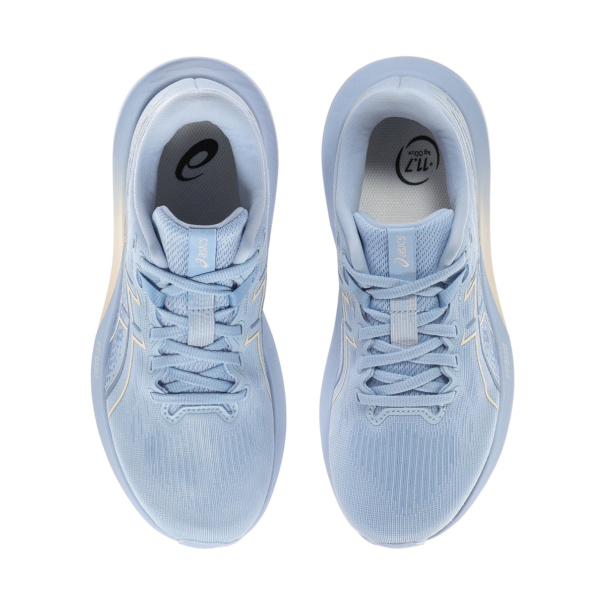 ASICS Premium GT-1000 - Womens