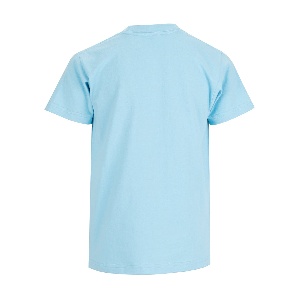 PRO CLUB Box Logo Tee - Youth
