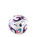 PUMA 2026 Premier League Cup Mini Ball