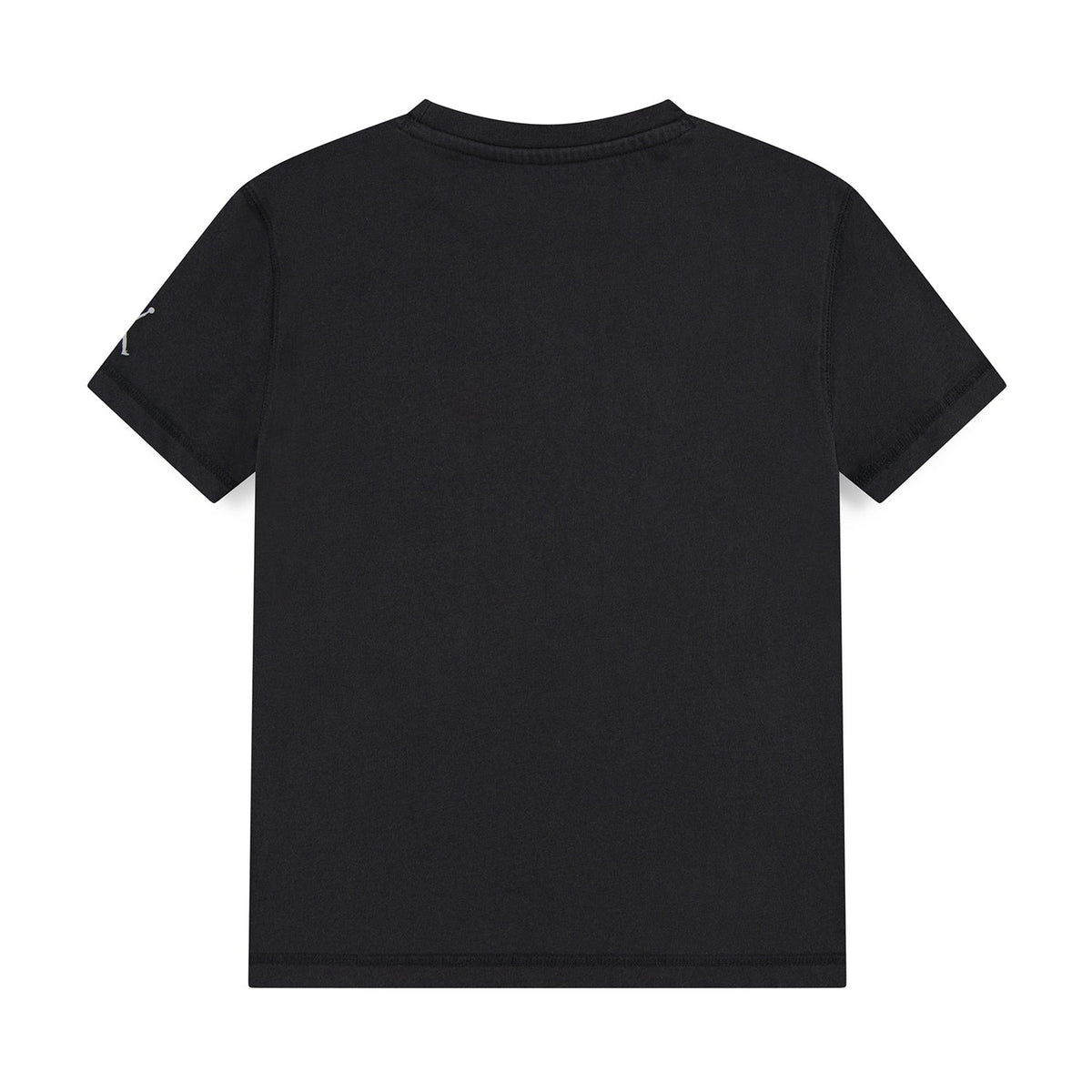 JORDAN Classic Elevate Wash Tee - Youth
