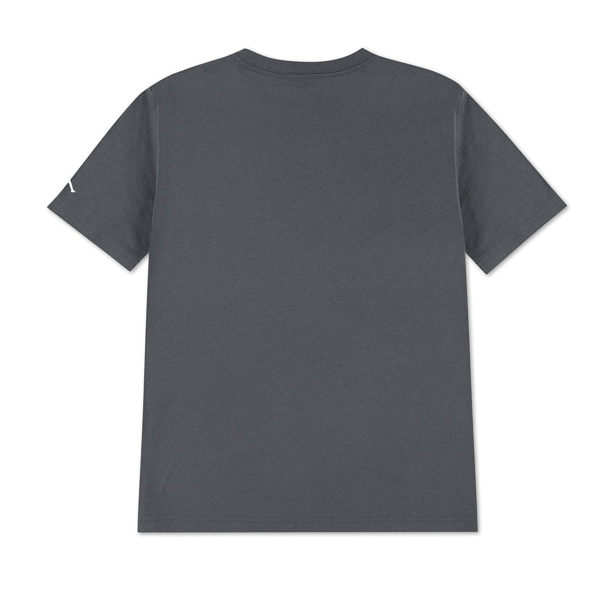 JORDAN Distressed Chrome Tee - Youth