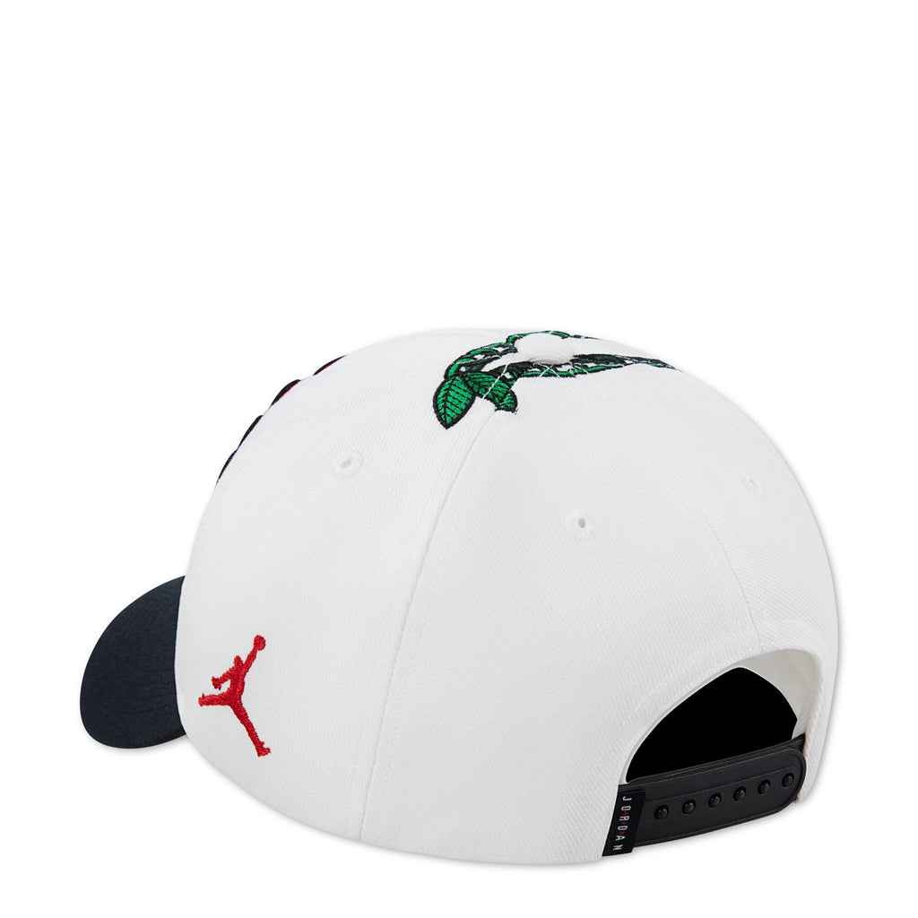 JORDAN Premium Youth Jordan AJ13 Cherry Dice Rise Dad Cap