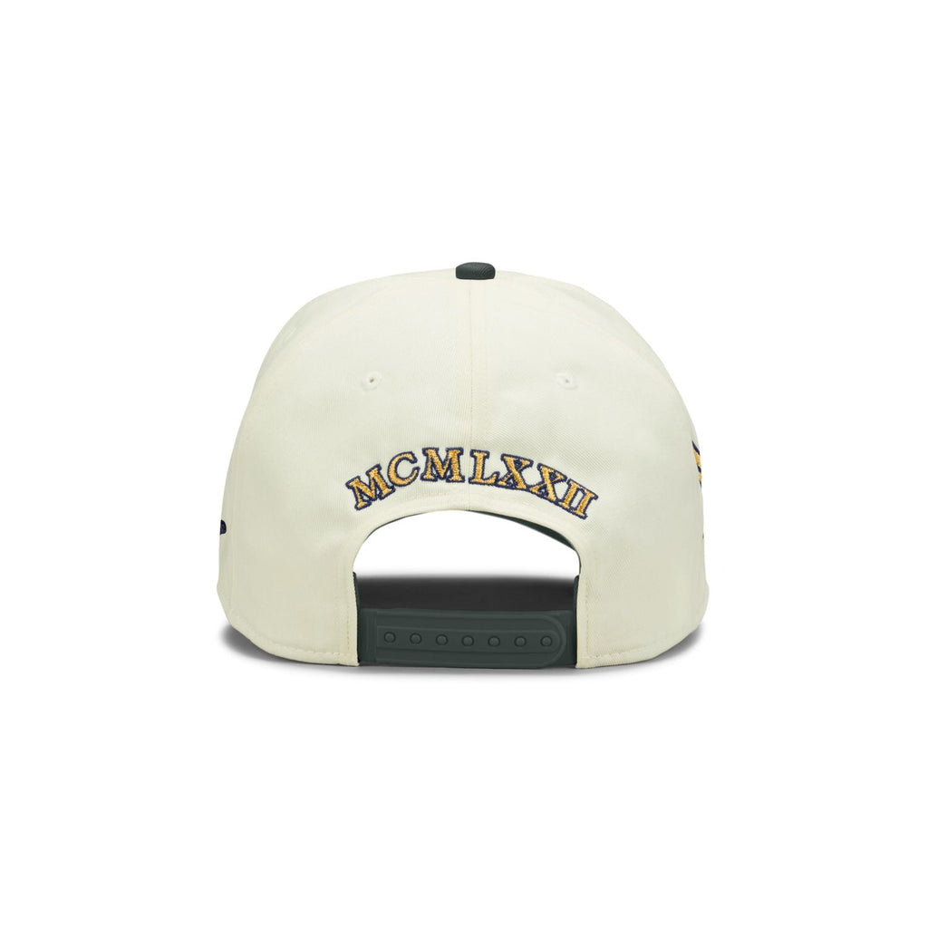 NIKE Premium Nike Rise Cap Structured Curved Bill A-Frame Snapback