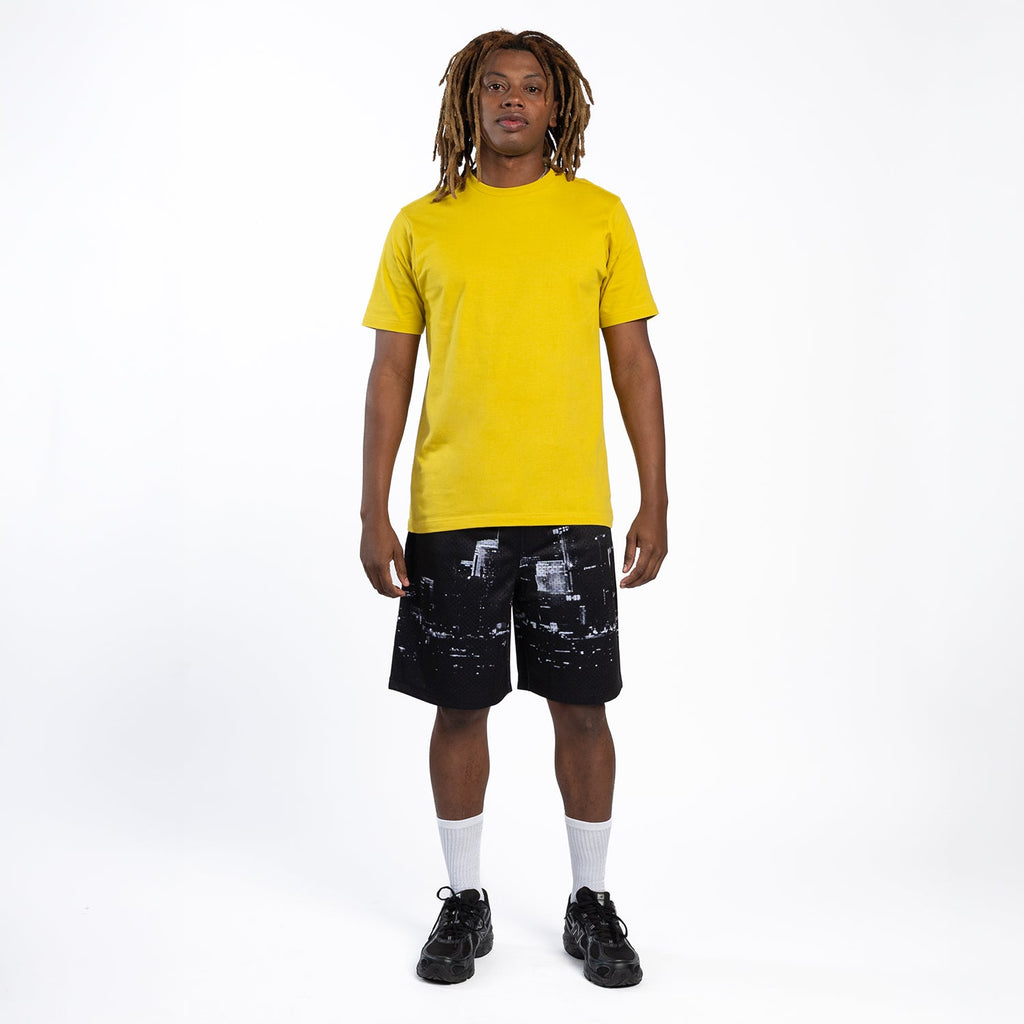 WSS ATHLETIC Printed Mesh Short Skyline - Mens
