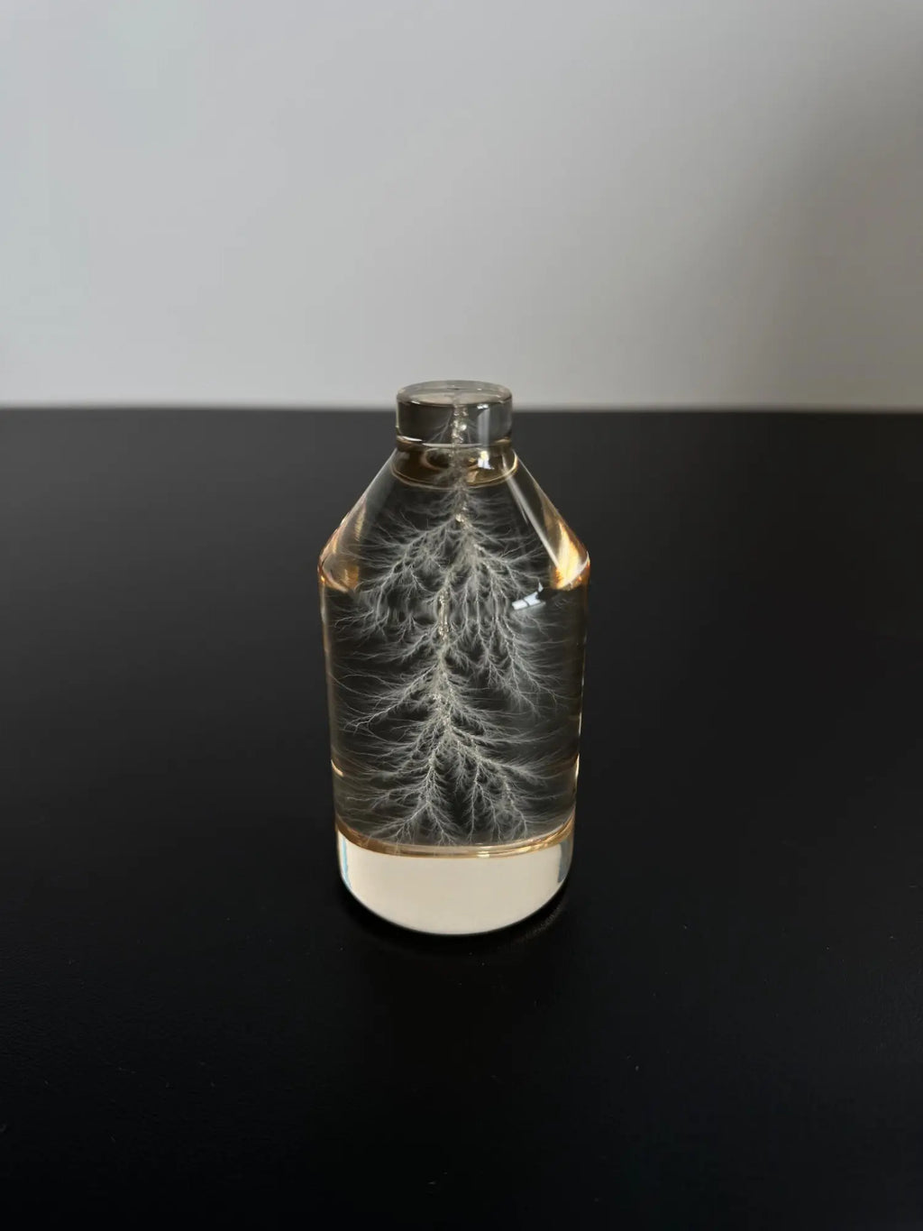 Captured Lightning in a Bottle - 10MeV High-Energy Physics Art Sculpture - One-of-a-Kind 3D Lichtenberg Figure - Authentic Frozen Electrical Discharge - Unique Science Gift for Geeks Decor Industrial