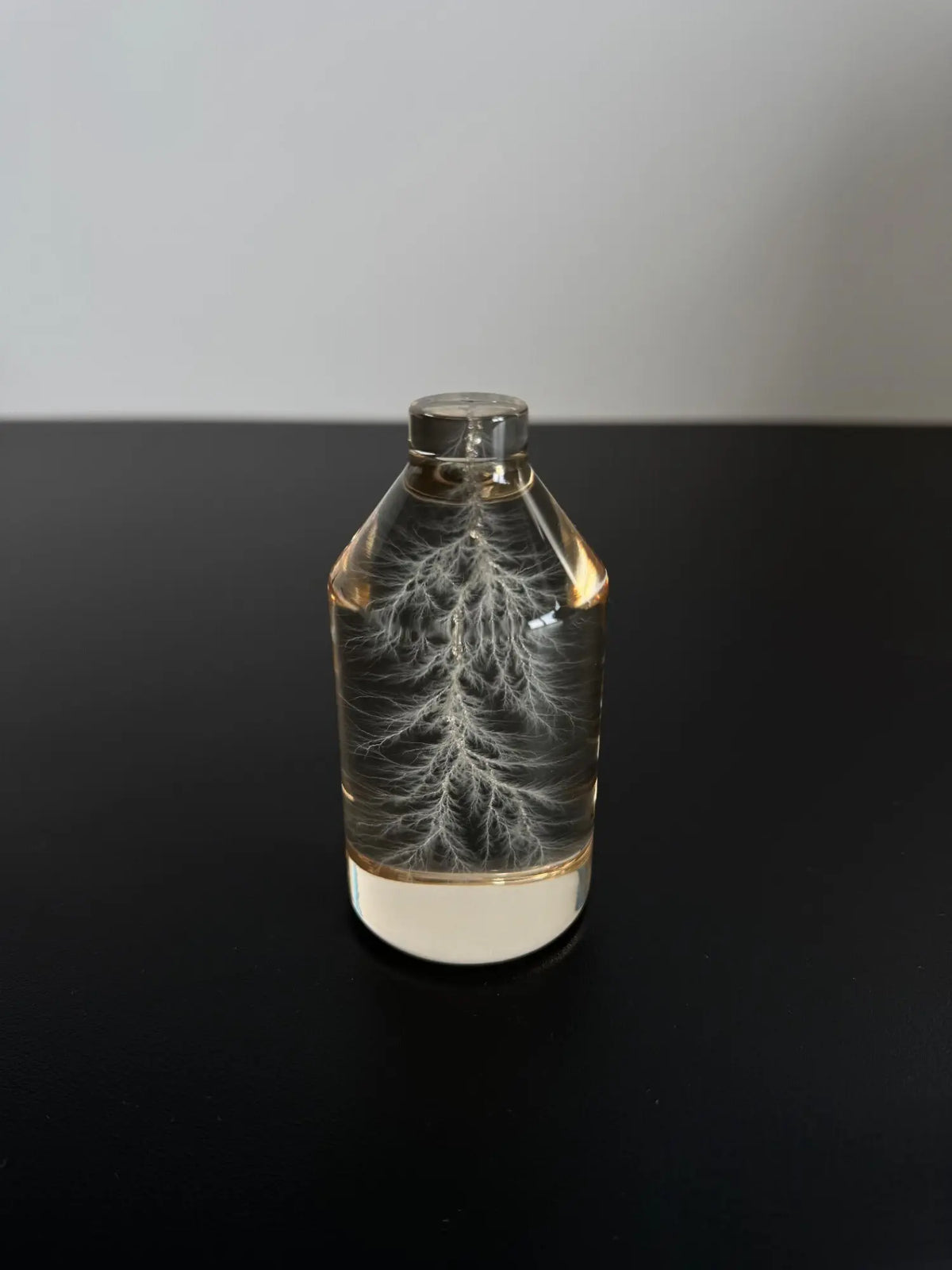 Captured Lightning in a Bottle - 10MeV High-Energy Physics Art Sculpture - One-of-a-Kind 3D Lichtenberg Figure - Authentic Frozen Electrical Discharge - Unique Science Gift for Geeks Decor Industrial